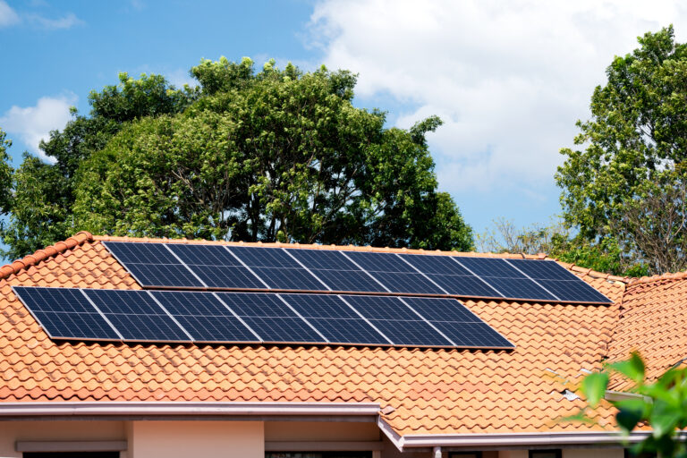 photovoltaic-electricity-generation-with-solar-p-2025-03-10-15-35-31-utc (1)